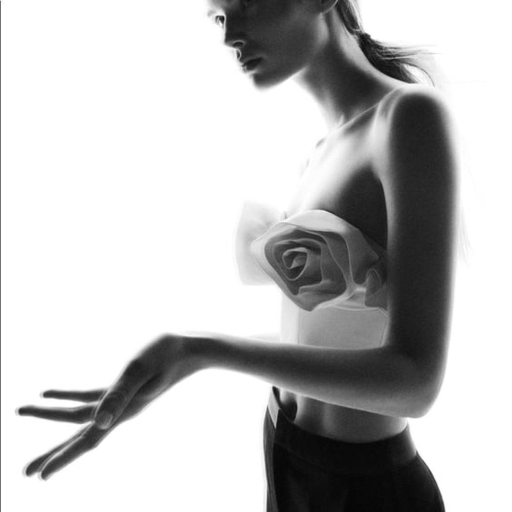 ZARA Floral Limited Edition Bustier Size  M